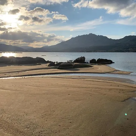 Apartment Orchidea Olbia